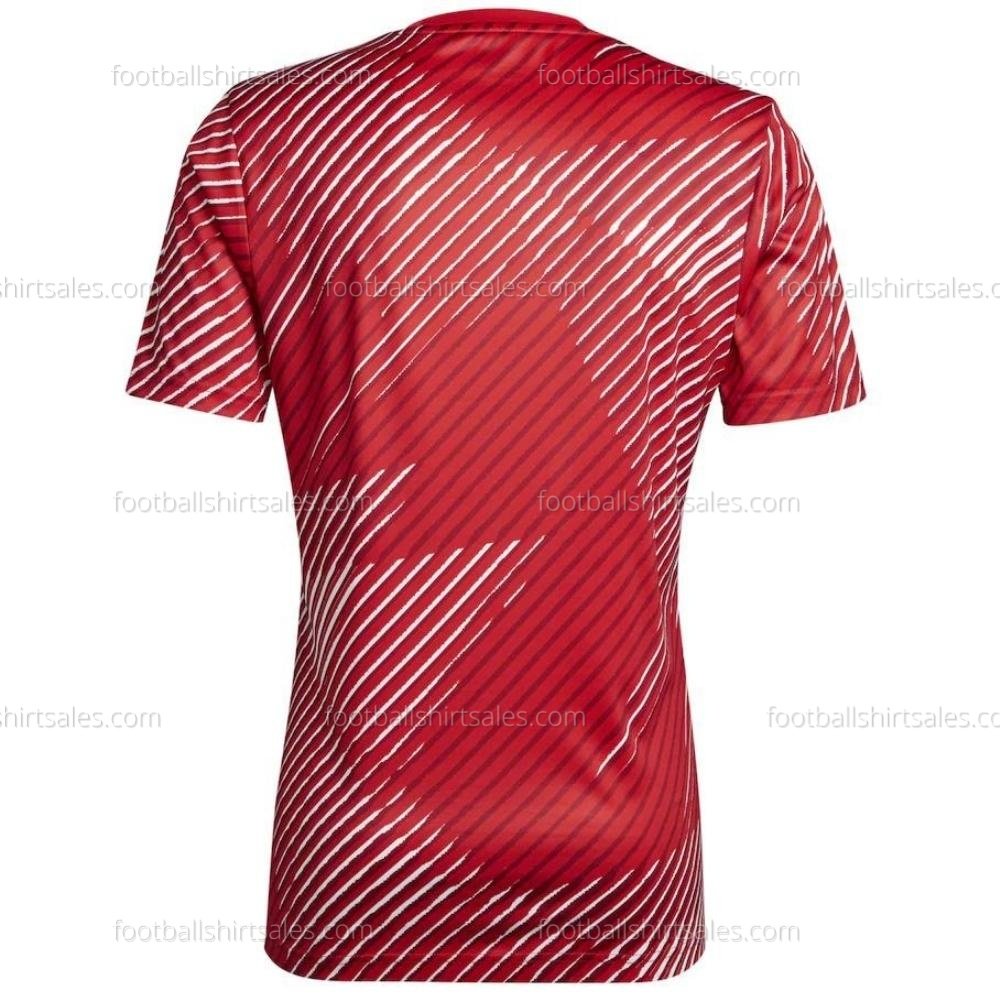 fss_japan-pre-match-shirt 2 Japan Pre-Match Adult World Cup Football Shirt Sales 2022 Back View